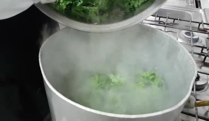 Grünkohl in kochendem Salzwasser blanchieren und anschließend mit kaltem Wasser abschrecken.