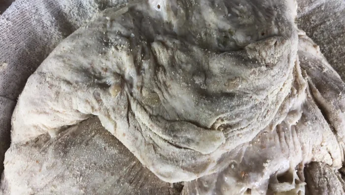 Teig in einen Brotkörbchen geben und 1-1,5 Stunden gehen lassen (372.389).