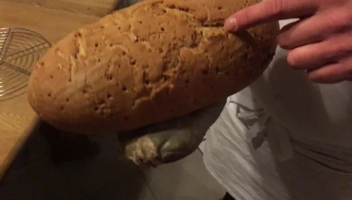 Abkühlen lassen: Das fertige Brot aus dem Ofen nehmen und abkühlen lassen. (499.03)