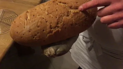 Kasslerbrot backen: Rezept & Anleitung für ein leckeres Brot