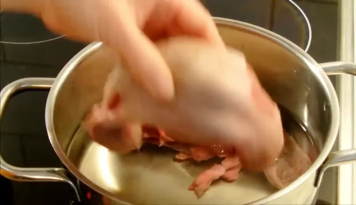 Zungen in einen Kochtopf geben und mit Wasser bedecken.