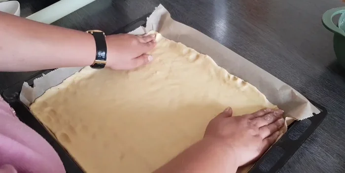 Teig auf Backblech legen und Zwetschgen darauf verteilen. [429]