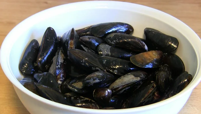 Miesmuscheln mit kaltem Wasser abspülen und beschädigte oder offen bleibende Muscheln aussortieren. (Nur Muscheln verwenden, die sich bei Berührung schließen).