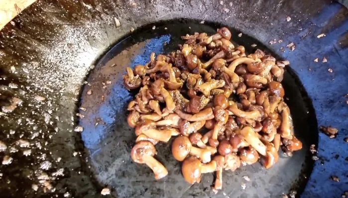 Das fertige Hirschfilet mit dem Pilz-Meerrettichschaum servieren. (Beginn ca. 306.689)