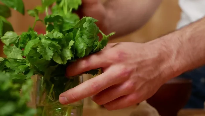 Koriander waschen, Blätter abzupfen und Stängel fein hacken.