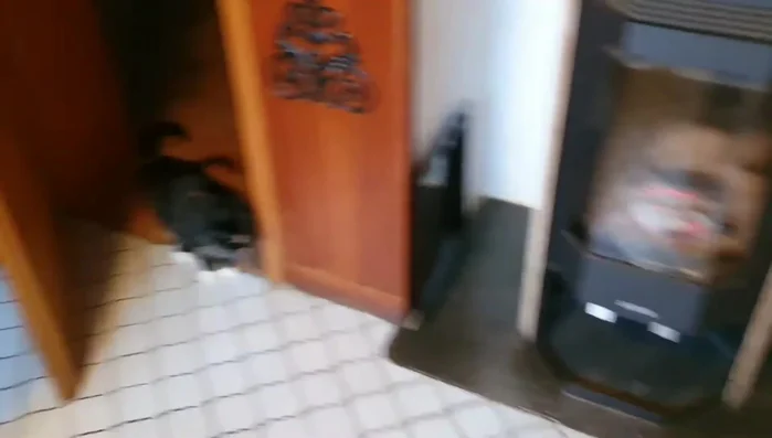 Mehl nach und nach hinzufügen und zu einem glatten Teig verkneten. (Konsistenz prüfen: nicht zu fest, nicht zu weich)