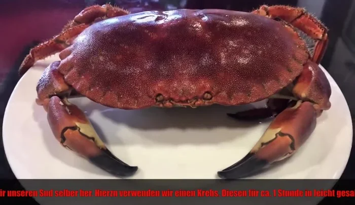 Wasser zum Kochen bringen.