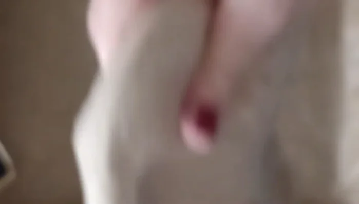 Brotteig auf dem Backblech ausrollen (so groß wie möglich).