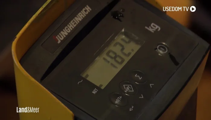 Gewichtskontrolle: Die fertige Fischsülze wiegen (mindestens 90 kg für den Rekord).