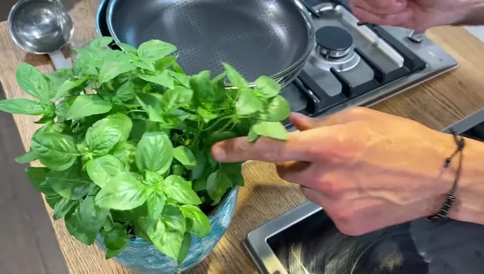 Basilikum unterrühren.