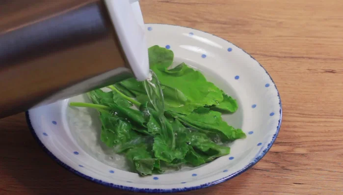 Kohlrabi Blätter waschen, fein hacken. (114.41)