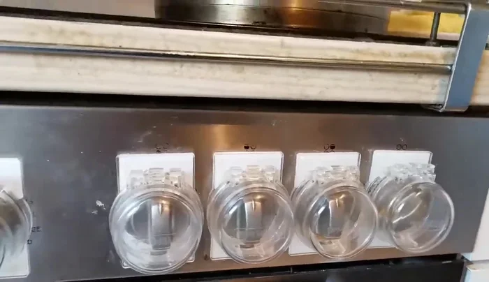 Schweineschulter mit Salz, Pfeffer und Öl einreiben und im Ofen anbraten.