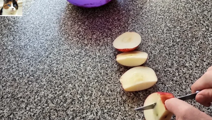 Apfel in grobe Stücke schneiden.