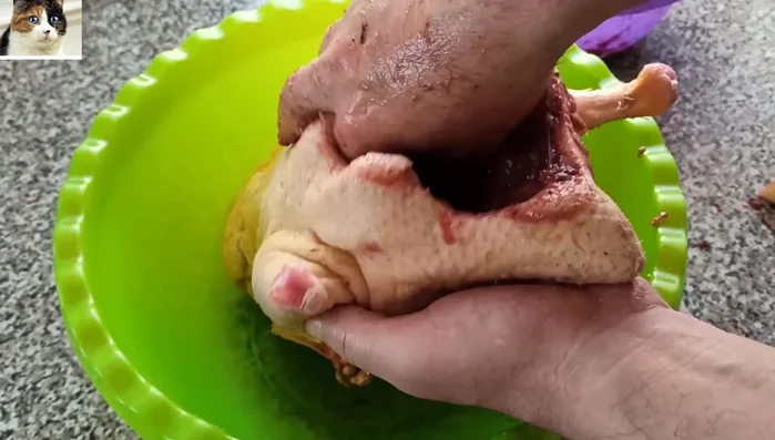 Die Apfelstücke in die Ente füllen und mit Zahnstochern verschließen.