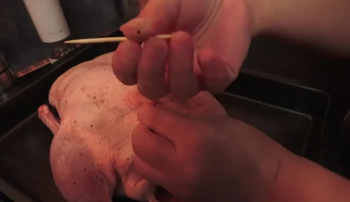 Haut der Ente zusammenschieben und mit Zahnstochern verschließen.