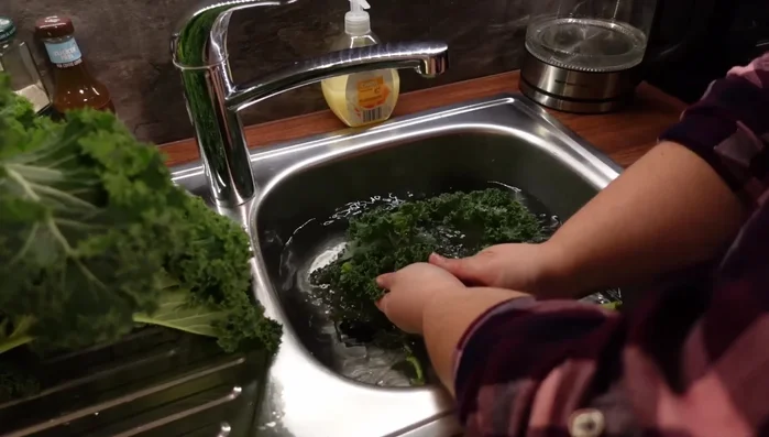 Grünkohl gründlich waschen und die Blätter vom Stängel trennen (56.3).