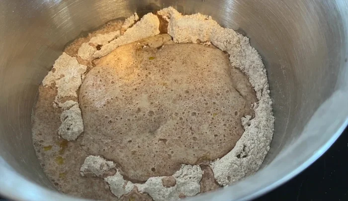 Militärbrot zubereiten: Hefeteig aus Dinkelmehl, Hefe, Honig, Olivenöl und Salz herstellen, gehen lassen, formen und bei 180 Grad ca. 1 Stunde backen.