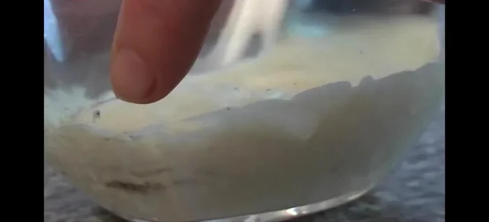 Auflaufform mit Pflanzenöl bestreichen (47.44).