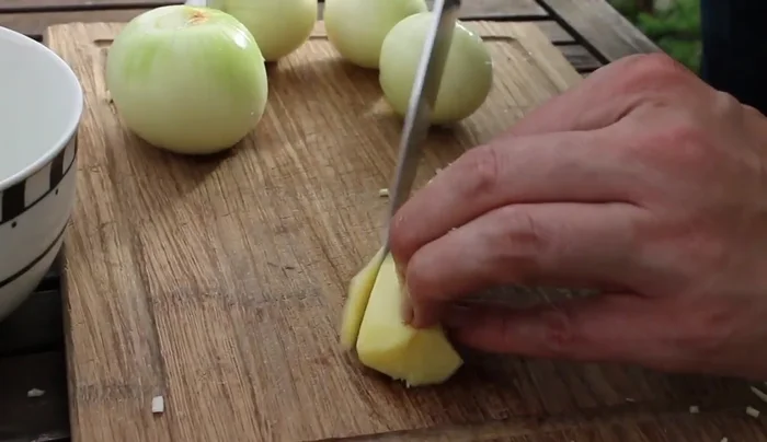 Knoblauch und Zwiebeln grob hacken.