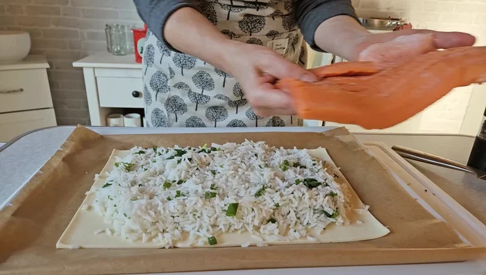 Lachsforelle auf den Reis legen.