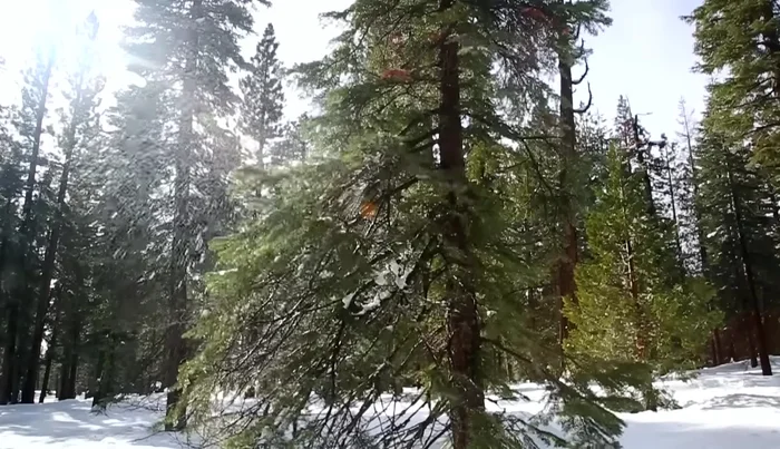 Das Design so anpassen, dass es benutzerfreundlich und effektiv ist (z.B. schnelles Nachladen des Magazins).