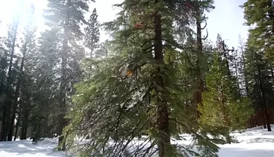 Schneeball-Maschinengewehr Bauanleitung: Der ultimative Winter-Spaß!