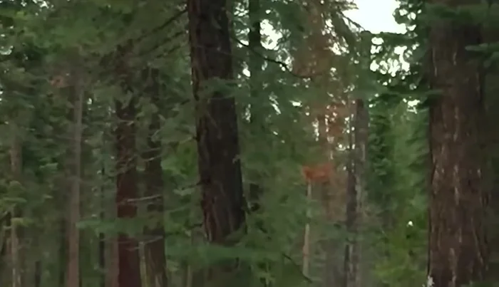 Das Design des Schneeball-Maschinengewehrs planen und skizzieren. Berücksichtigen Sie die Größe des Magazins (bis zu 15 Schneebälle), den Auslösemechanismus und die Steuerung des Luftstroms für die Wurfkraft.