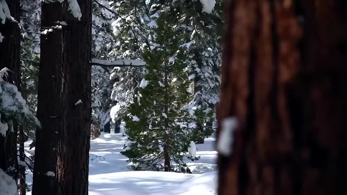 Materialien sammeln und vorbereiten. Schneiden und formen Sie die Rohre und andere Bauteile entsprechend der Planung.