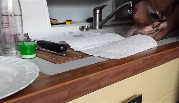 Die Ente vorbereiten: Waschen und von innen reinigen.